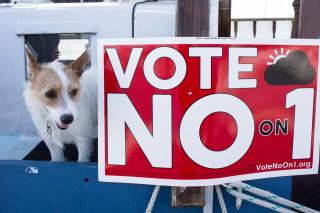 A puppy and a red sign reading "Vote No on 1"