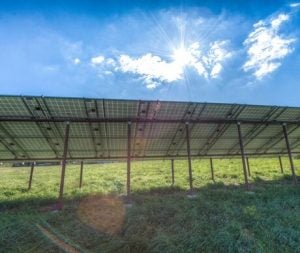 Part of the 5 MW community solar array at Eichten’s Hidden Acres Cheese Farm in Center City, Minnesota