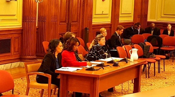 Solar United Neighbors Executive Director Anya Schoolman testifies before the D.C. Council Committee on Transportation & the Environment on Wednesday, December 13, 2017.