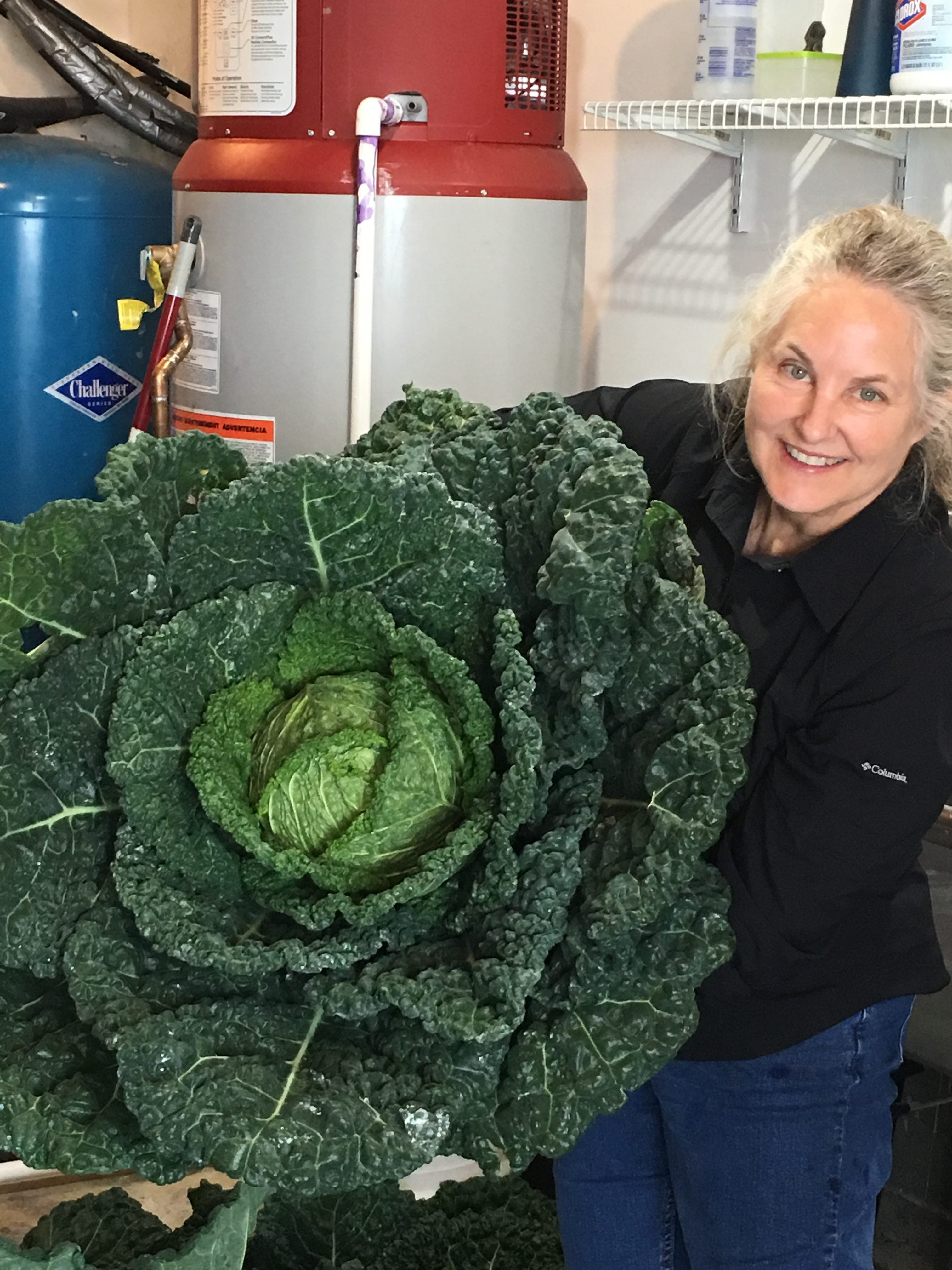 Tommye Lou Rafes of T.L. Fruits and Vegetables in Caldwell, West Virginia, shows off her solar-powered produce.