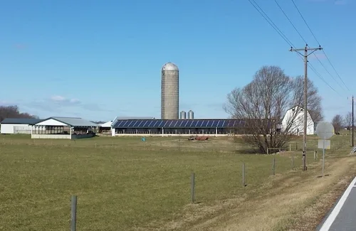 solar panels on a barn by a field and electric power lines